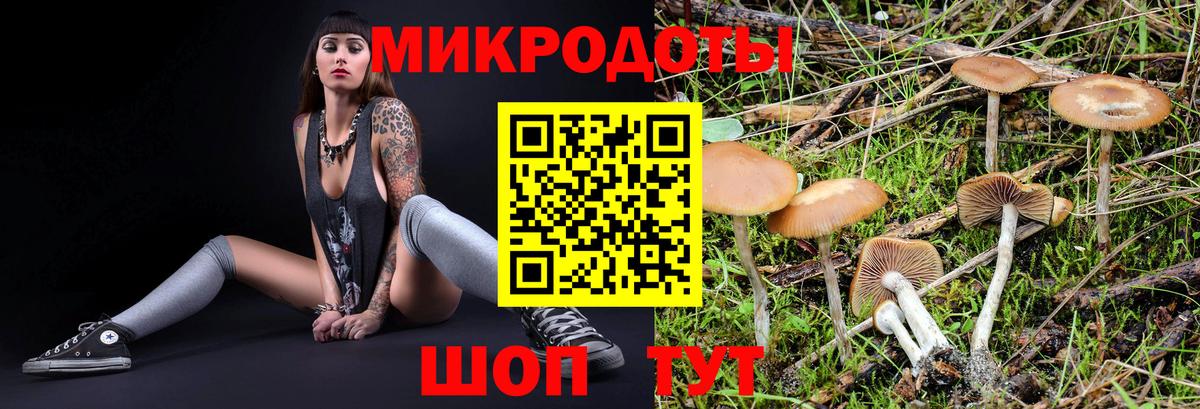 Луховицы  Галлюциногенные грибы Cubensis  Вход с VPN 